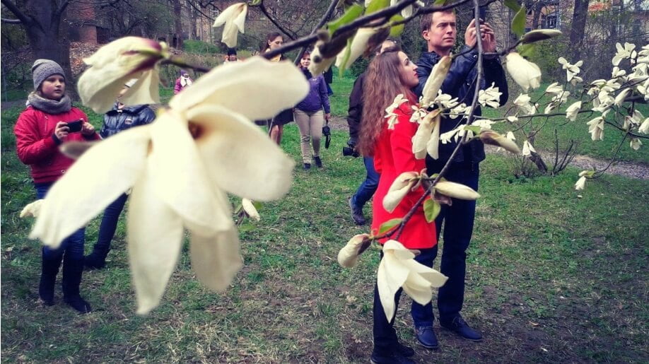 Весенняя симфония во Львове