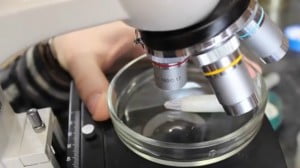 Young Ukrainian chemist conducting research in nanomaterials is awarded 100K €