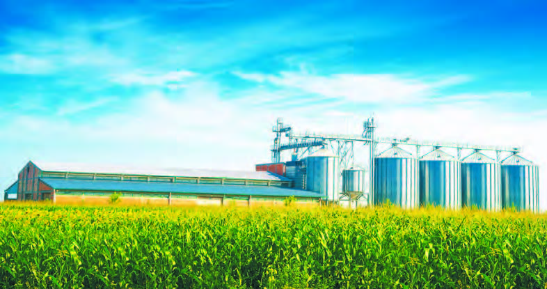 TOP 10 exports. What Ukraine sold in 2019