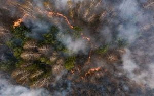 Firefighters continue to extinguish forest fire in the radioactive Chornobyl zone
