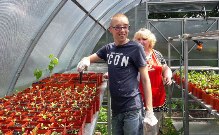 Inclusive Greenhouse opened in Vinnytsia Region