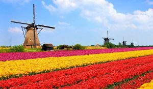 The Netherlands opens its borders to Ukrainians