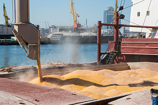 Ukraine and its partners agreed on the movement of 14 grain ships in the Black Sea