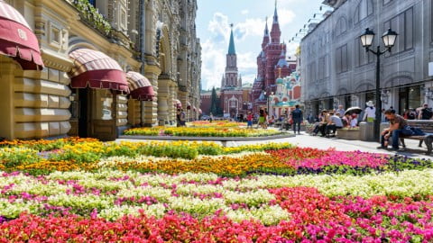 Field of Dutch tulips contrasted with military equipment symbolizing Europe’s paradox of trade with Russia and weapons support for Ukraine.
