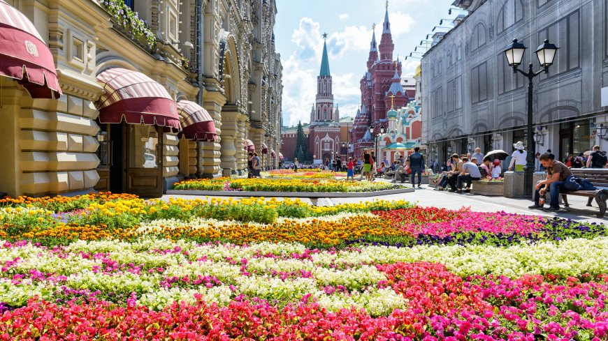 <strong>Dutch florists сlaim to stop russian weapons with tulips</strong>