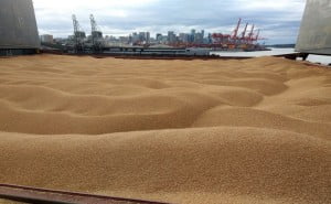 Grain is banned. How can a boycott of European countries harm Ukraine?