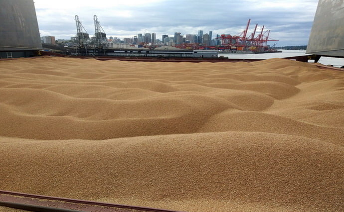 Grain is banned. How can a boycott of European countries harm Ukraine?