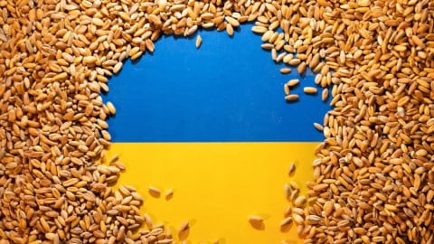 Cargo ship loaded with Ukrainian grain in Black Sea corridor amid diplomatic talks on extending export deal and easing banking restrictions.