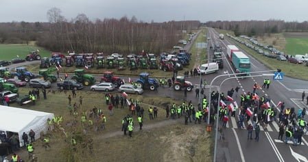 Polish double standards or why Russian and Belarusian grain is not blocked at the border?