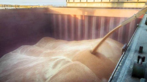 Cargo ships loaded with Ukrainian grain navigating the Danube corridor near Romanian ports as transit capacity expands to boost exports.