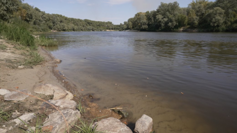 Polluted Seym and Desna river waters near Chernihiv/Sumy with dead fish and darkened water showing environmental damage to ecosystem. :contentReference[oaicite:2]{index=2}