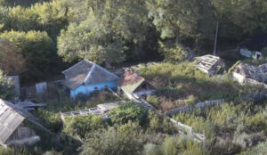 bezsalivka liberated