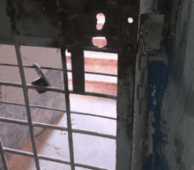 Russia Announces Construction of New Prisons in Occupied Territories