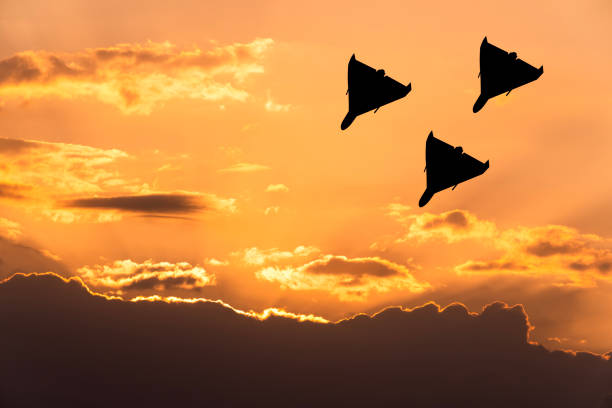 Ukrainian Drones Completely Halt Major Russian Oil Refinery