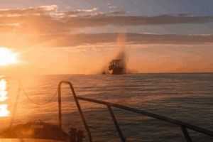 Russian attack on Turkish vessel Viva in Ukraine’s exclusive economic zone