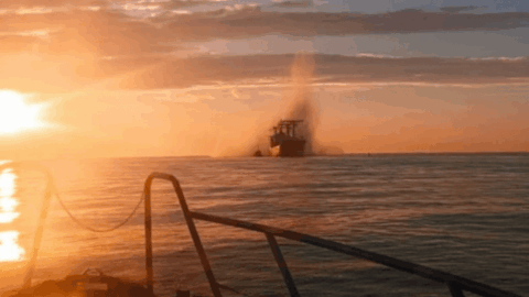 Russian attack on Turkish vessel Viva in Ukraine’s exclusive economic zone