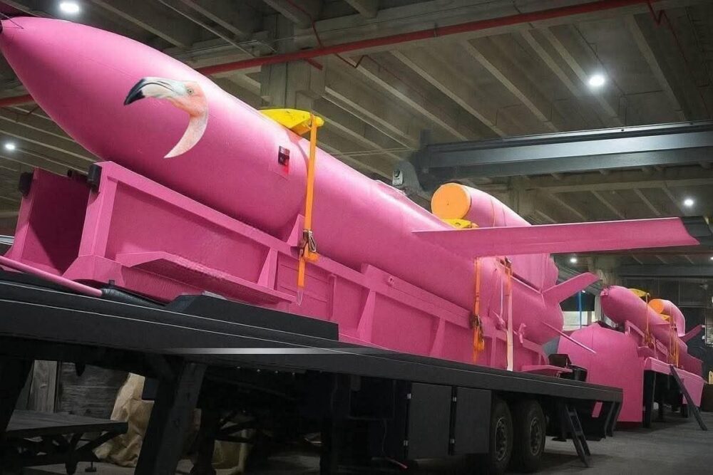 Illustration showing Ukraine’s Flamingo cruise missile and disappearing company data linked to Fire Point defense firm scandal.