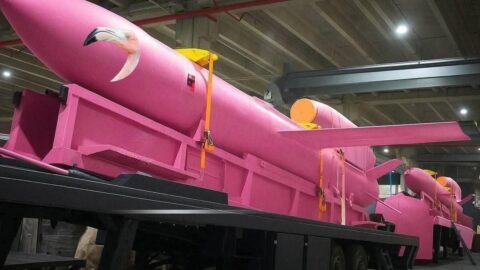 Illustration showing Ukraine’s Flamingo cruise missile and disappearing company data linked to Fire Point defense firm scandal.