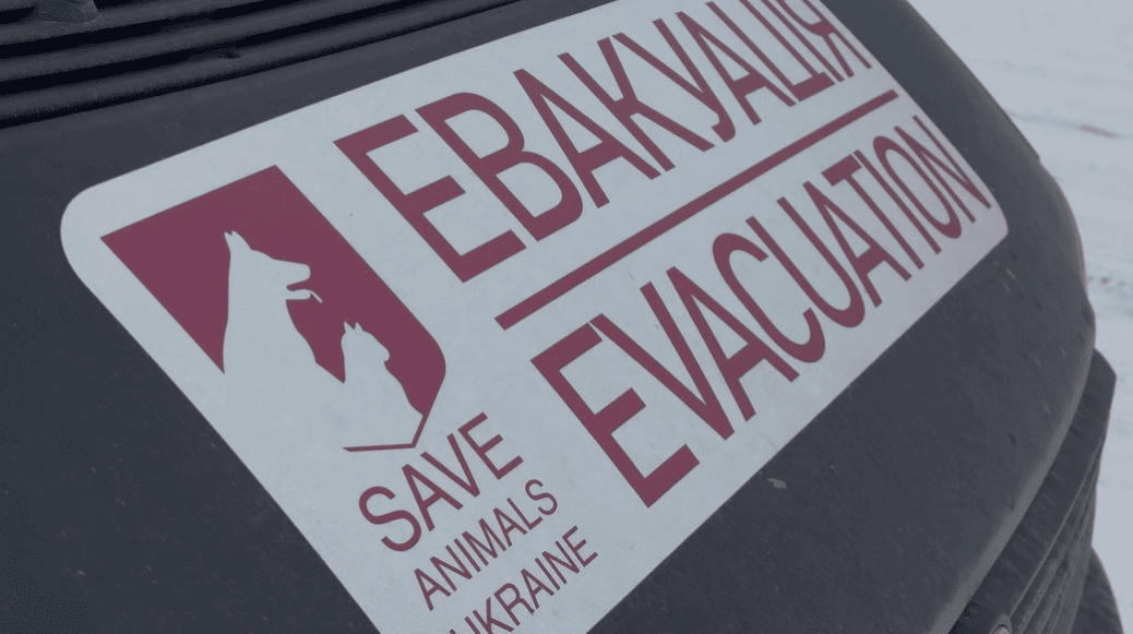 Saving Lives Under Drone, Artillery, and KAB Attacks: How Dnipro Animal Volunteers Evacuate Pets from Frontline Communities