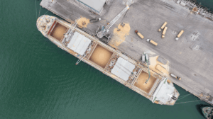 Cargo grain shipments at port infrastructure linked to Ukraine war logistics and disputed supply chains involving Mariupol exports