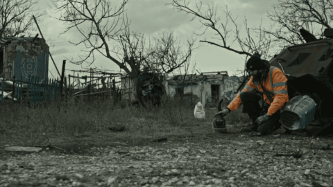 Scene from Ukrainian documentary Diviia showing war-damaged landscapes and environmental destruction caused by Russia’s invasion
