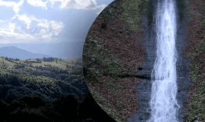 Hidden waterfall in Zakarpattia forest surrounded by Carpathian mountains with clear water and untouched природна landscape
