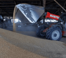Russia Accused of Stealing Up to 50M Tons of Ukrainian Grain
