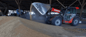 Grain storage and export operations linked to alleged Russian theft of Ukrainian grain during the war