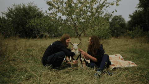 Rescue documentary film about saving animals from Ukraine war zones
